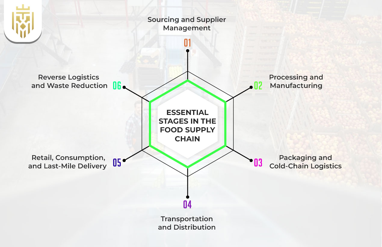 Essential Stages in the Food Supply Chain