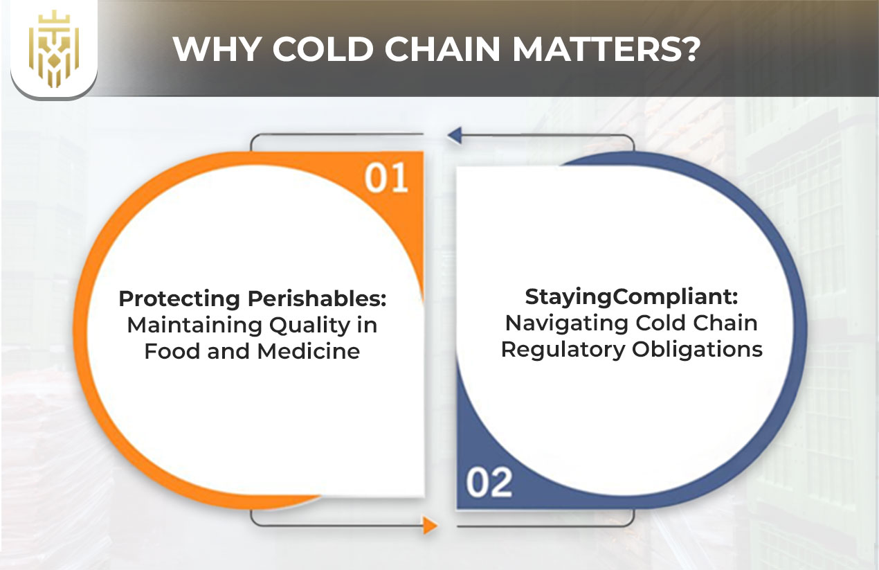 why cold chain logistics matters